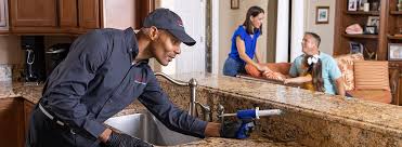 Best Termite Inspection and Treatment  in Lenoir City, TN